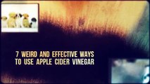 Benefits of Drinking Apple Cider Vinegar | Apple Cider Vinegar Benefits | Benefits of Apple Cider