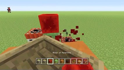 Tai Lopez Hey Buddy/MTV Cribs