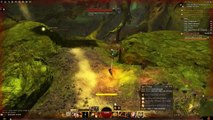 Guild Wars 2 - 1080p Performance with i5 4690 / r7 260x