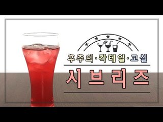 여성들이 좋아 할 만한 칵테일 시브리즈 - 양띵TV후추