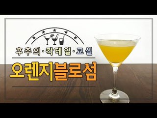 순결한 칵테일(?) 오렌지블로섬 - 양띵TV후추