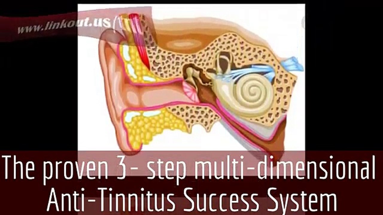 The proven 3- step multi-dimensional "Tinnitus Miracle™" Anti- Tinnitus Success System