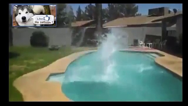 Прыжок блондинки в бассейн с крыши Жесть !