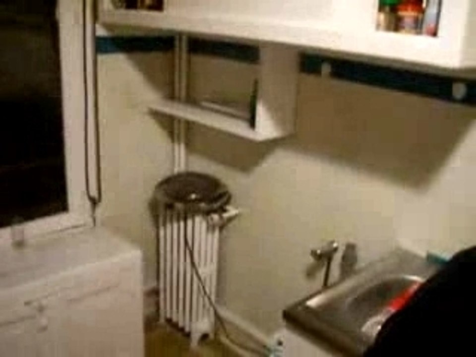 momo festival encore