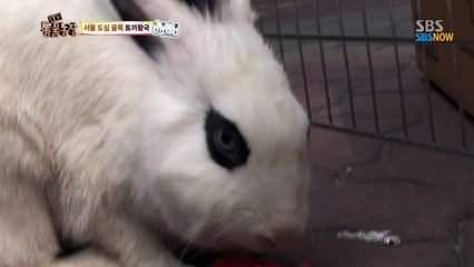 장안동출장안마 ¤OlO↔59O6↔1O5O¤ 용답동출장안마 면목동출장안마