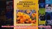 Download PDF  Finding the Bright Side Actively seeking and finding the bright side of Alzheimers FULL FREE