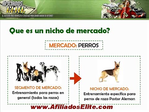 Afiliados Elite - MiniCurso Leccion 3: Como Elegir Productos Para Promocionar ·1 de 3·