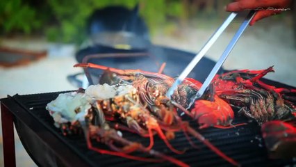 MBS 2015 Cor D Rover Design