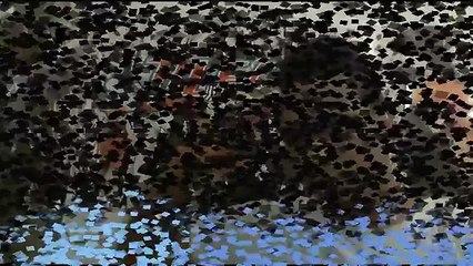 Hunter x Hunter 2011 Episode 90 Review Interest x And x Pain ハンター×ハンター 2011