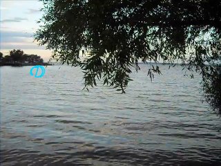 Днестровский лиман перед грозой