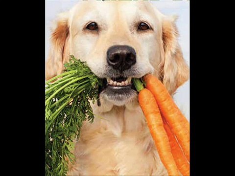 Dog Food Secrets Review + Dog Food Secrets 4th Edition + Home Made Dog Food Recipes