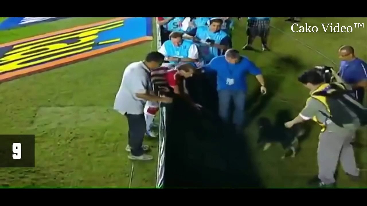 Top 10 Funny Moments Comedy Animals In Football Match invades pitch 2015