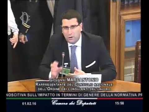 Roma - Disparità pensionistica - Audizione esperti (01.02.16)