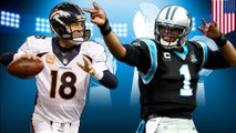 The only Super Bowl 50 preview you need to watch on the Panthers vs the Broncos