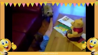 Funny Videos | Top Funny Videos 2016 | Try not to laugh or grin challenge | Funny vines 20