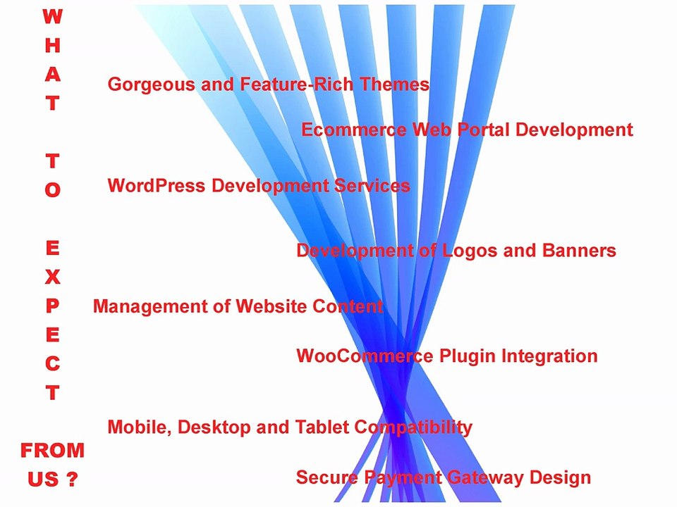 Web Design St. Catharines – White Shark Media