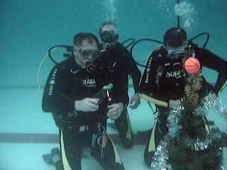 Новый год с дайв клубом Подводный мир(Ёлка под водой)