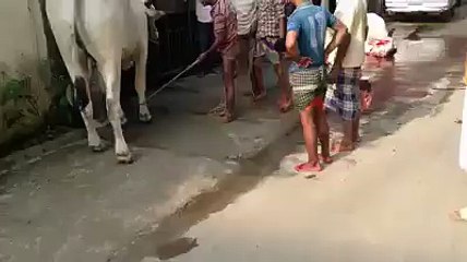 oye teri khair