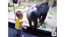 Случай в зоопарке. Смешная обезьяна и забавный малыш