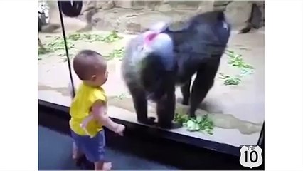 Случай в зоопарке. Смешная обезьяна и забавный малыш