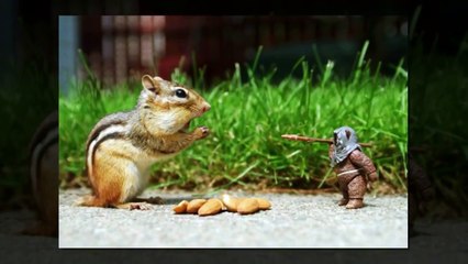 Top Funny Videos 2016 | Right Time Pics | PHOTOS TAKEN AT The RIGHT TIME | Funny Videos 20