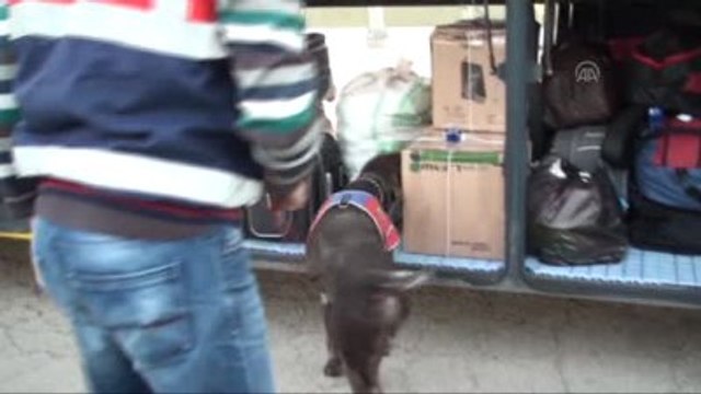 Jandarmadan Asayiş Uygulamaları