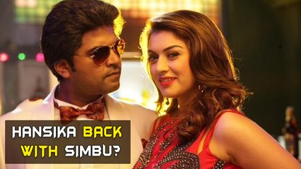 Hansika back with Simbu? | Tamil Focus