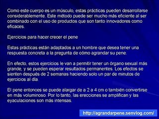 Maestro del Pene en PDF: ejercicios que funcionan