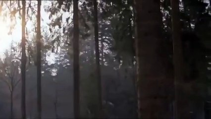 Лучшая в мире реклама