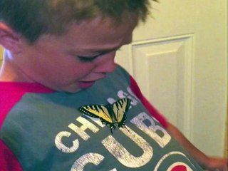 Boy Is Terrified Of Butterfly