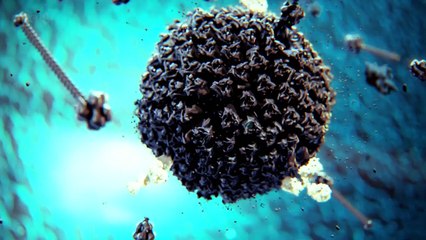 Тайная жизнь клетки.