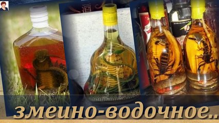 ПИТЬ ИЛИ НЕ ПИТЬ- ВОТ В ЧЕМ ВОПРОС!