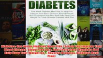 Download PDF  Diabetes One Week Diabetes Meal Plan To Help You Improve Your Blood Glucose Blood FULL FREE