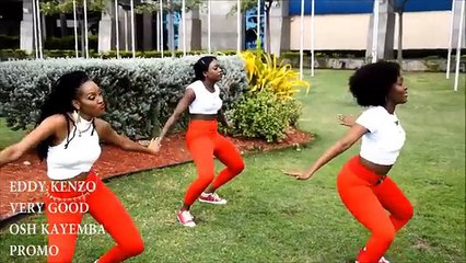 EDDY KENZO VERY GOOD NEW SONG 2016 (Funny Videos 720p)