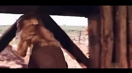 바카라규칙わ＼＼【KOP77,COM】＼＼お바카라주소NBA유료픽