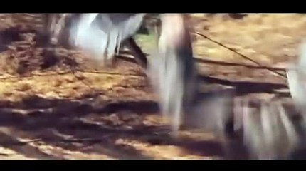 에이스카지노추천ん＼＼【KOP77,COM】＼＼ん피나클에이전시NBA유료픽