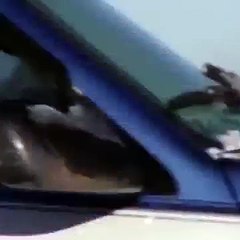 VID-20160202-WA0010