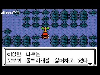양띵TV후추[포켓몬 후레이너 포켓몬 마스터가 될거야 - 4 포켓몬스터 골드버전]