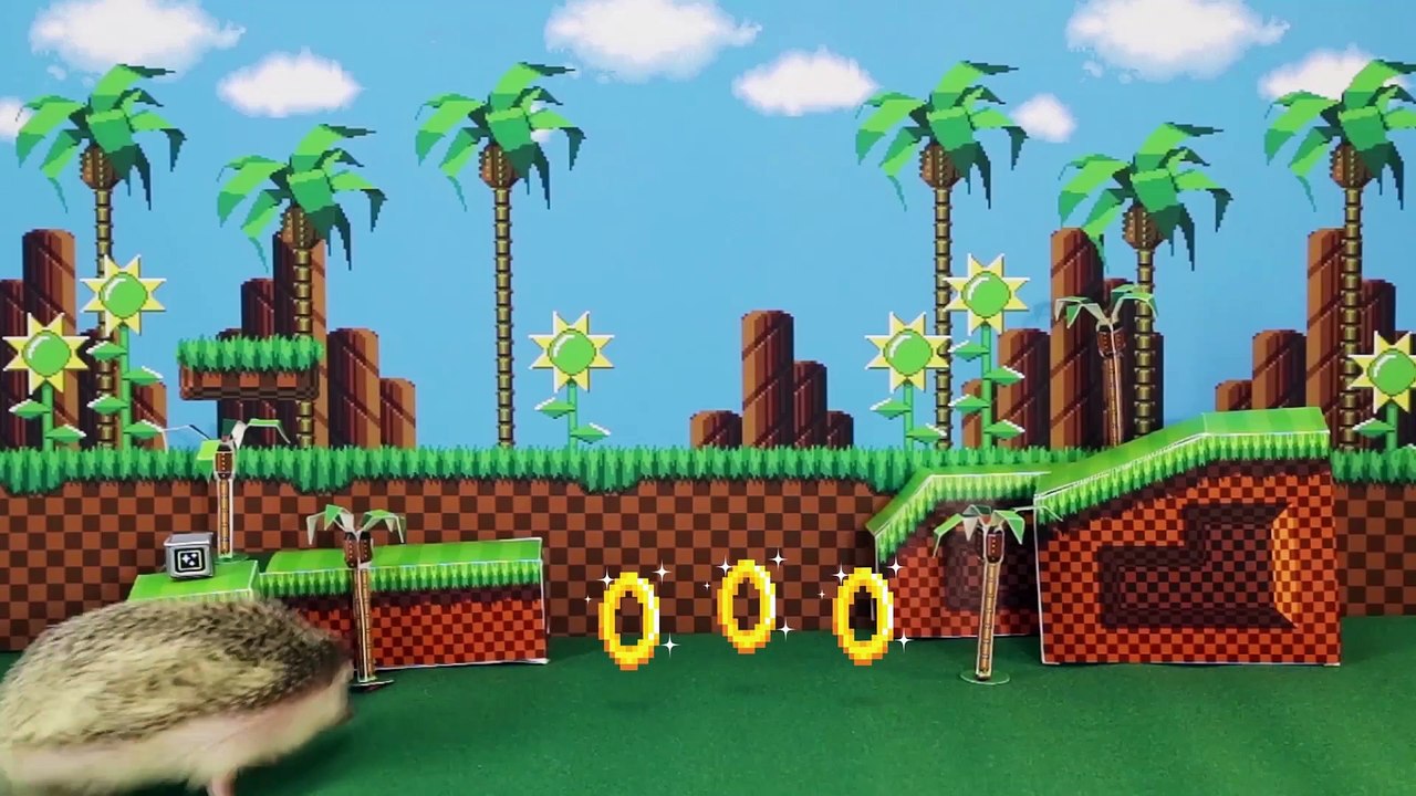 Happy Hedgehog Day!