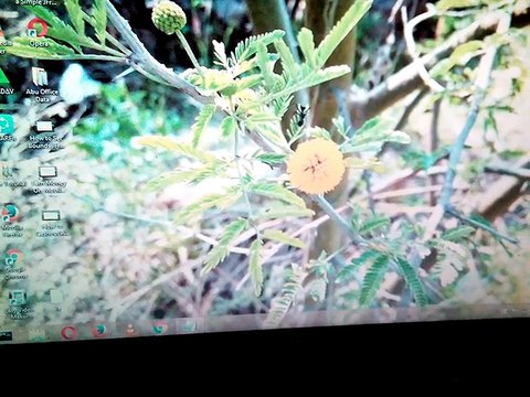 My Zong 4G Wifi Unboxing Review