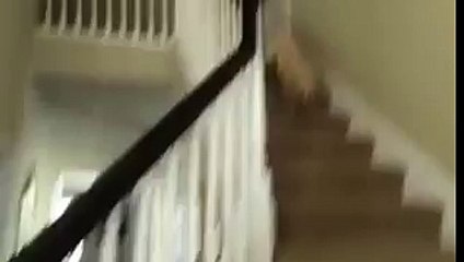 Cute Emergency - when mom says dinner is ready