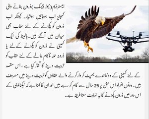 Drone Caught By Eagle Trained Eagle Caught And Stop Drone Technology Successfully