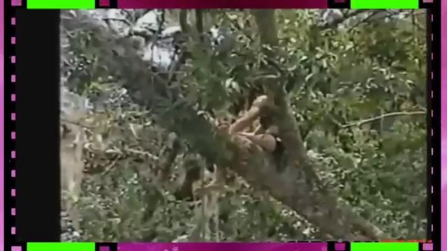 Funny happening sexy ladies videos【海外ハプニング】おバカな美女たちの襲撃おもしろハプニング映像集！ (FULL HD)