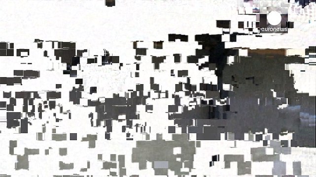 Des aigles prédateurs de drones aux Pays-Bas