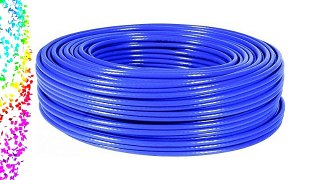 Dexlan - Cable de red FTP (cat 5E apantallado 100 m) color azul