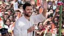 Rahul Gandhi Bats For 'Special Status' To Andhra Pradesh