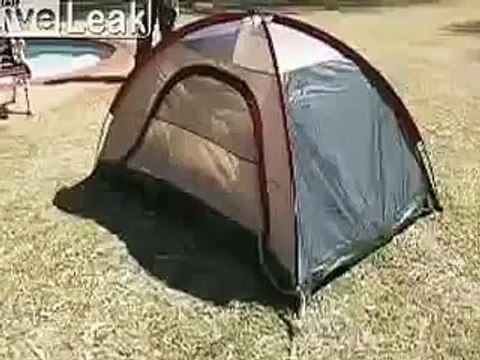 Lustige Videos Zum Totlachen Deutsch 2015 [Funny Videos, Witzige Videos, Fail, lol] #42