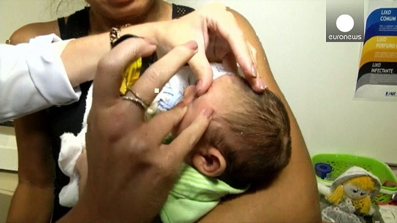 Zika und mikrozephalie: brasilien diskutiert abtreibungserlaubnis bei mückenstichen
