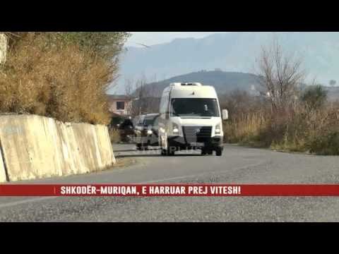 SHKODËR-MURIQAN, E HARRUAR PREJ VITESH!