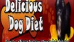 Delicious Dog Diet Review - Does It Really Work?